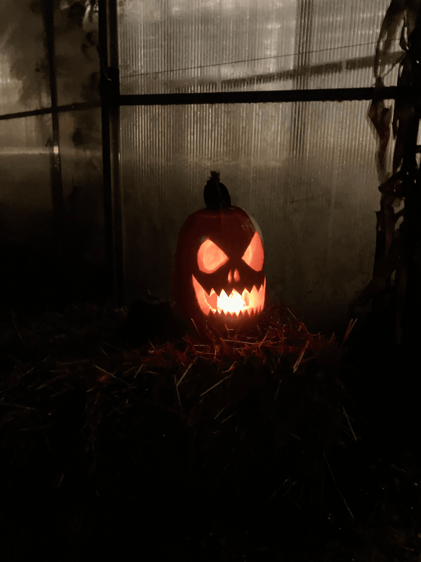 Citrouille Halloween