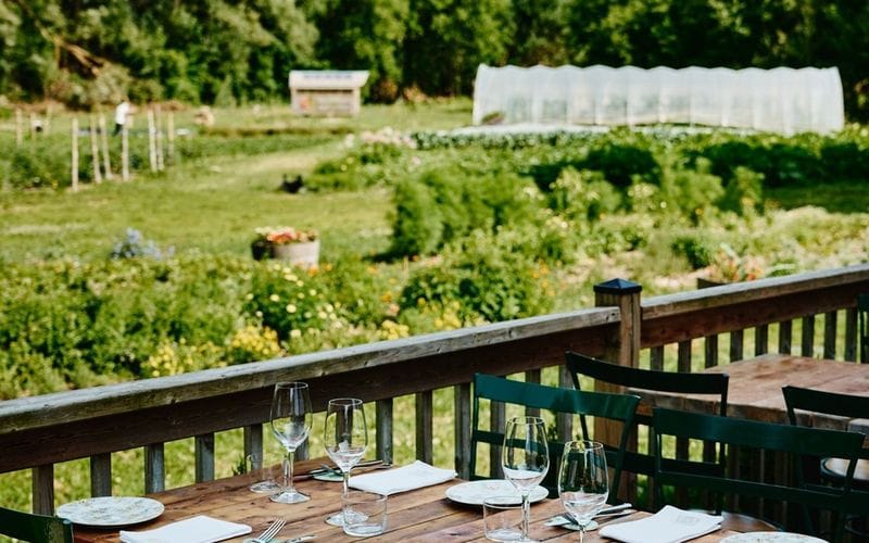 Terrasse avec vue sur le jardin maraicher