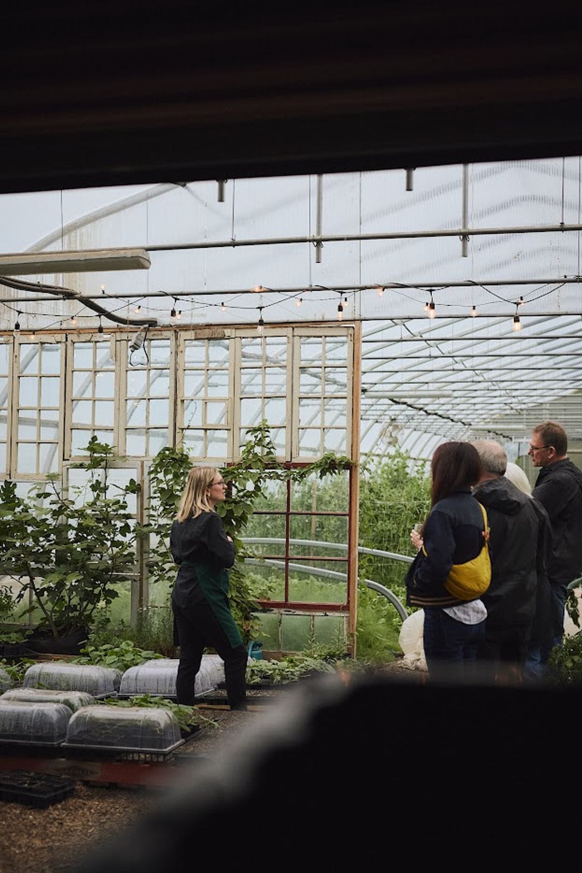 Visite guidée dans la serre de l'Espace Old Mill