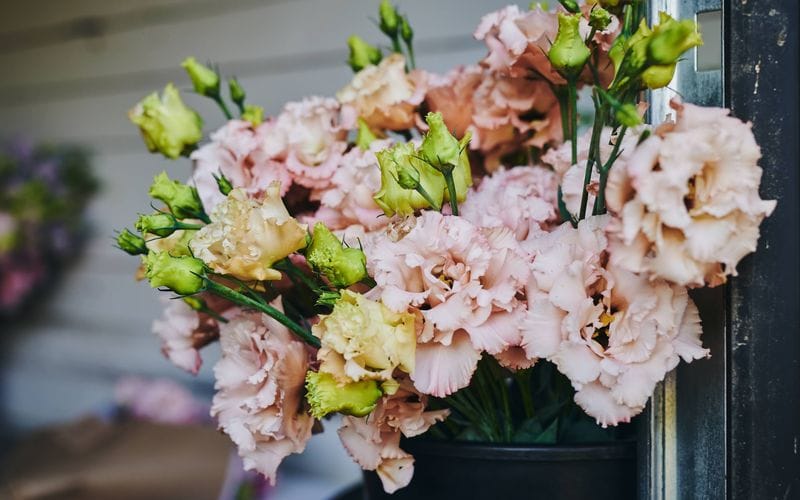 Bouquet de fleurs roses.