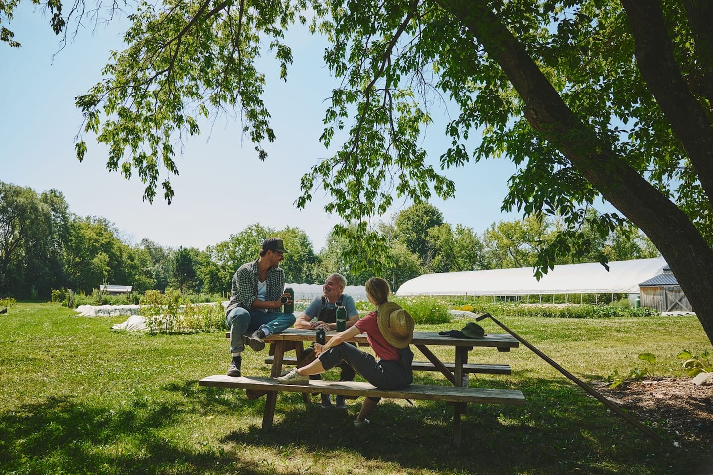 Amis discutant à l'ombre, sous un arbre, sur une table à pique-nique.