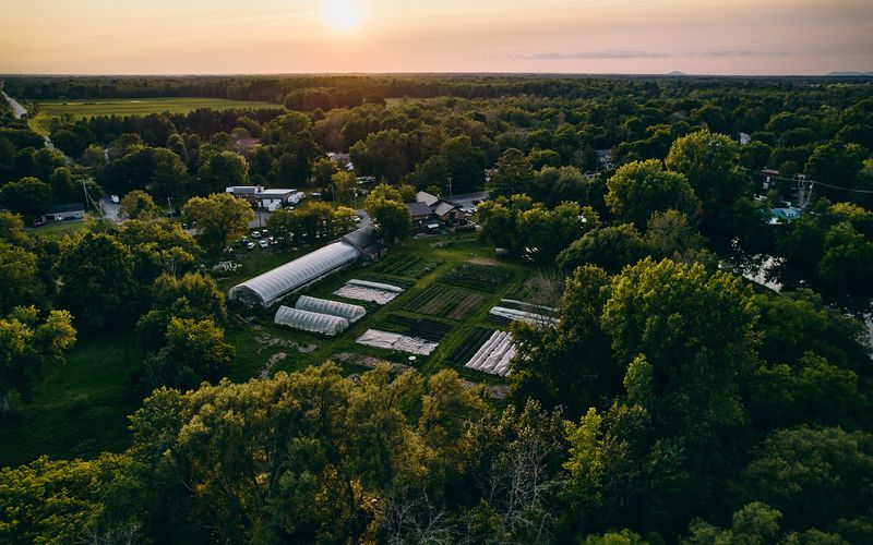Vue aerienne de la ferme maraichere de l'Espace Old Mill
