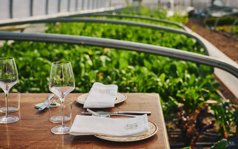 Table dressee dans la serre