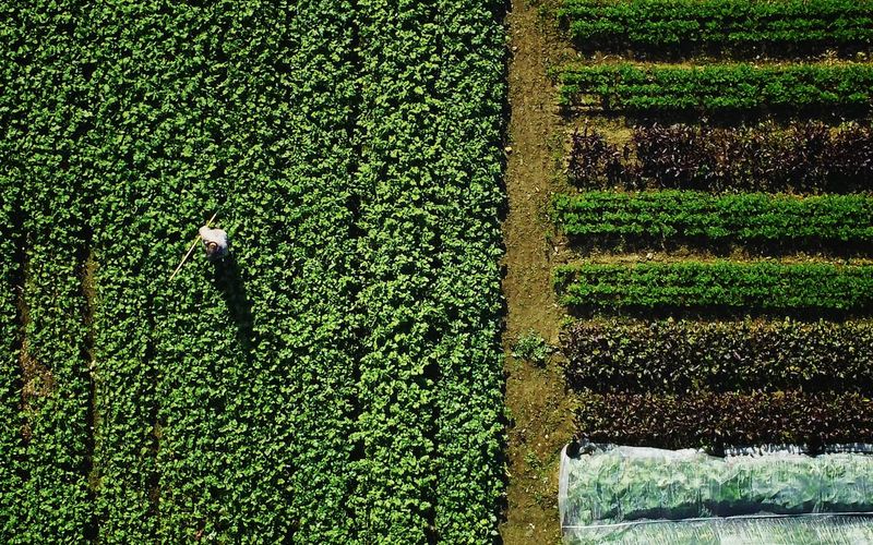 Episode 1 Tout est a faire